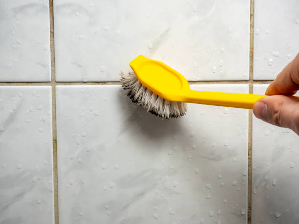 Best Mold Damage Repair  in Trempealeau, WI