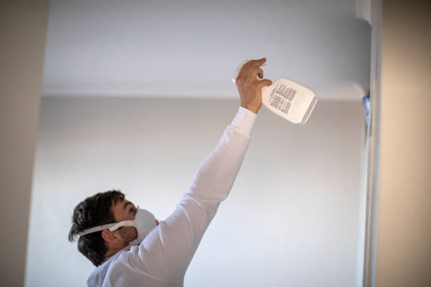 Best Residential Mold Removal  in Trempealeau, WI
