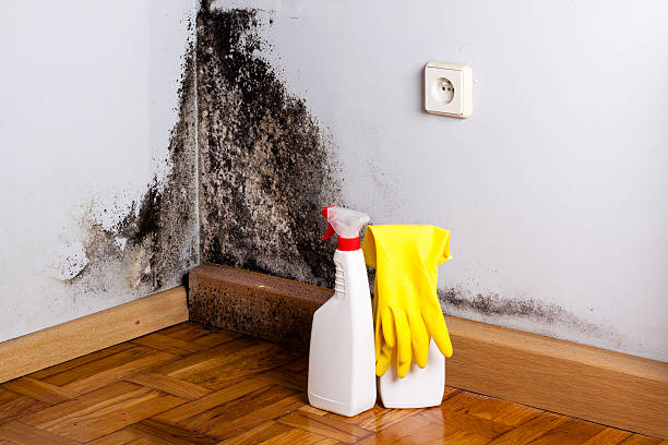 Water Damage Restoration in Trempealeau, WI